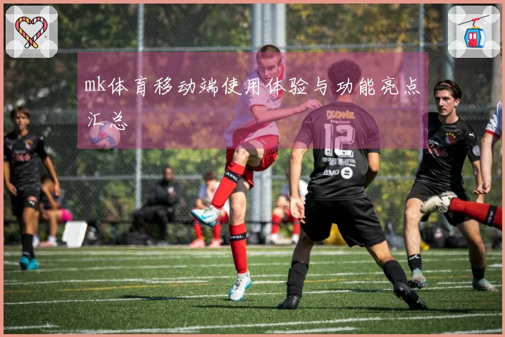 mk体育移动端使用体验与功能亮点汇总
