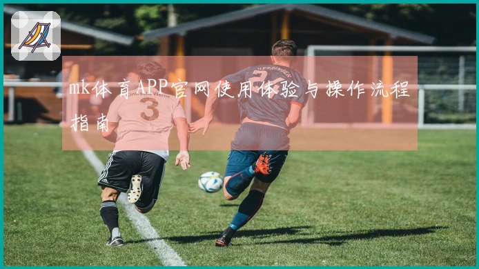 mk体育APP官网使用体验与操作流程指南